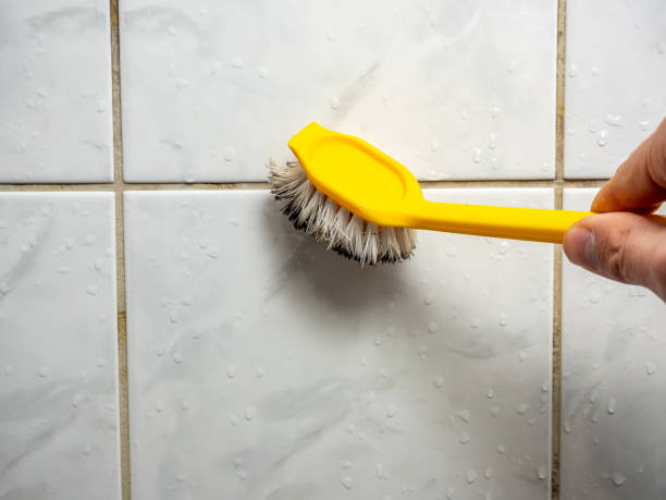 Best Office Mold Removal Services  in Elgin, SC