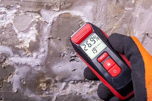Best Black Mold Removal  in Elgin, SC